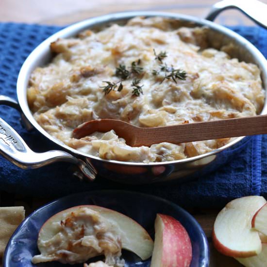 Hot Caramelized Onion Kalua Pig Dip - Recipe photo by Gourmetdoneskinny