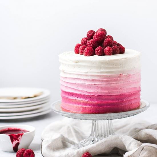 Raspberry Vanilla Layer Cake - Recipe photo by anasbakingchronicles