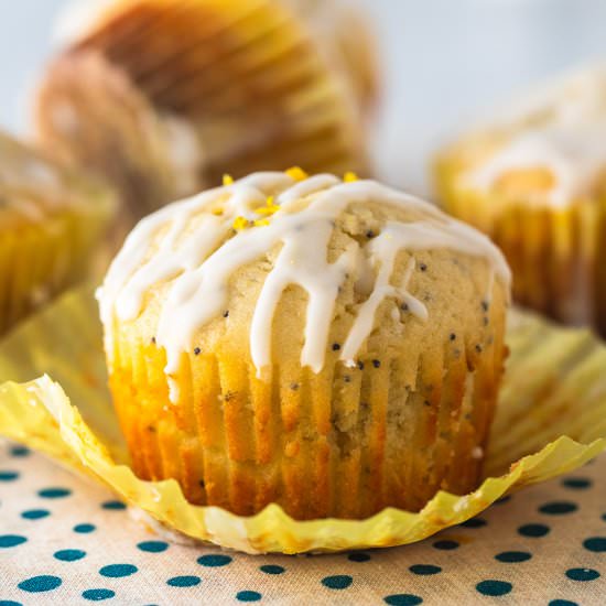 Lemon Poppy Seed Muffins with Glaze - Recipe photo by casserole crissy