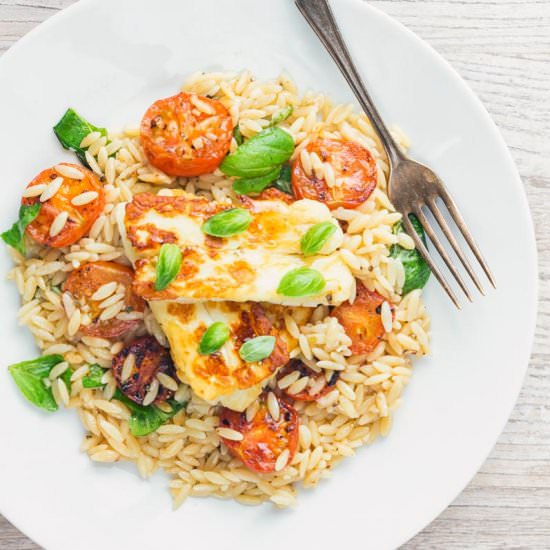 Halloumi and Tomato Orzo Salad - Recipe photo by Brian Jones