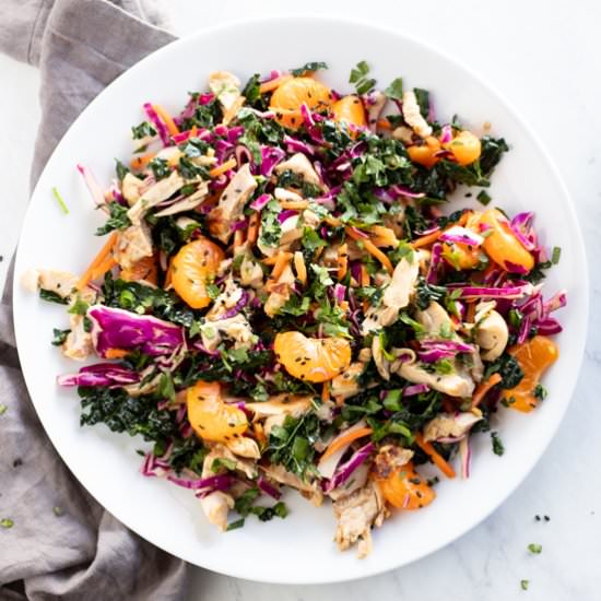 Low FODMAP Chinese Chicken Salad - Recipe photo by funwithoutfodmaps
