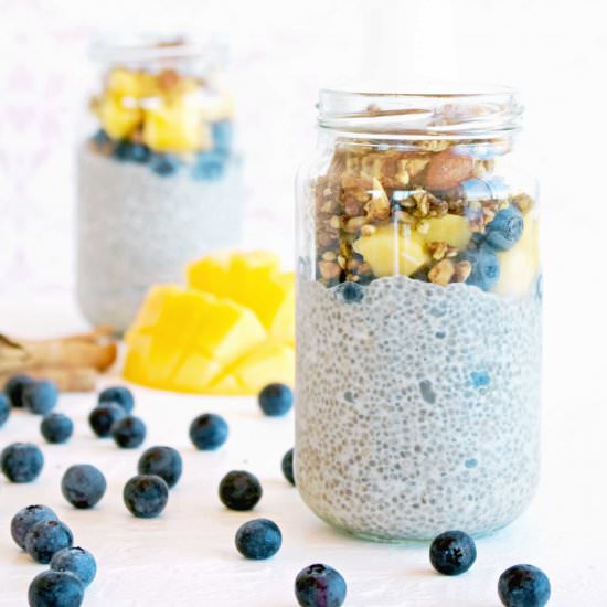 Mango & Blueberry Chia Pot - Recipe photo by amysavagenutrition