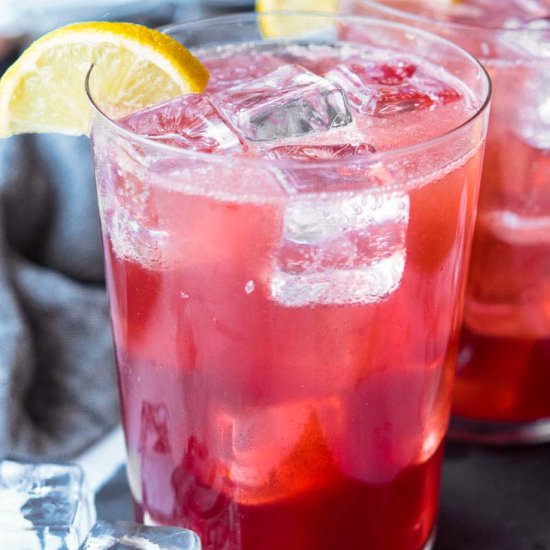 Sloe Gin Fizz - Recipe photo by Gonna Want Seconds