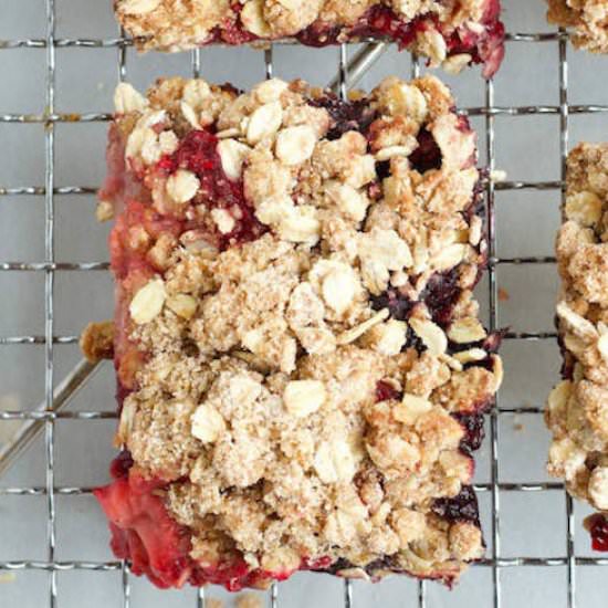 Mixed Berry Oatmeal Bars - Recipe photo by sinfulnutrition