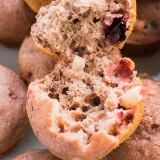 Sugar Free Apple Muffins - Recipe photo by pamelaz