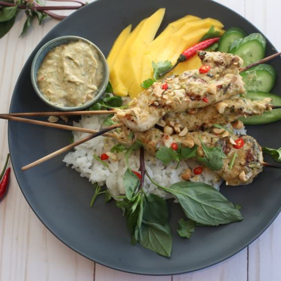 Chicken Satay w/ Spicy Peanut Sauce - Recipe photo by MyTastyTrials