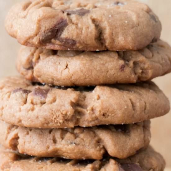 Chocolate Chip Peanut Butter Cookie - Recipe photo by pamelaz