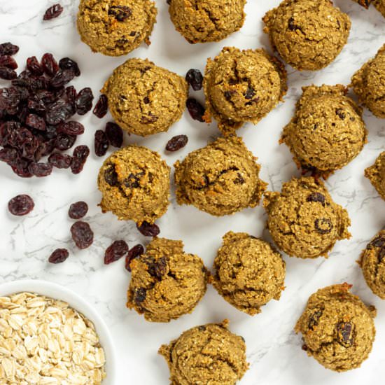 Oatmeal Raisin Bites - Recipe photo by wholly-plants