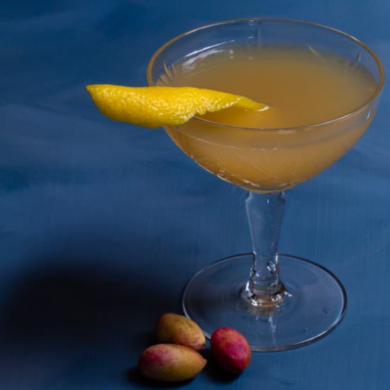 Pistachio rose rhubarb cocktail - Recipe photo by peck of pickles