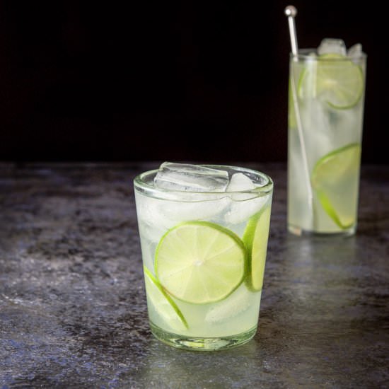 Gin Lime Rickey - Recipe photo by Dishesdelish