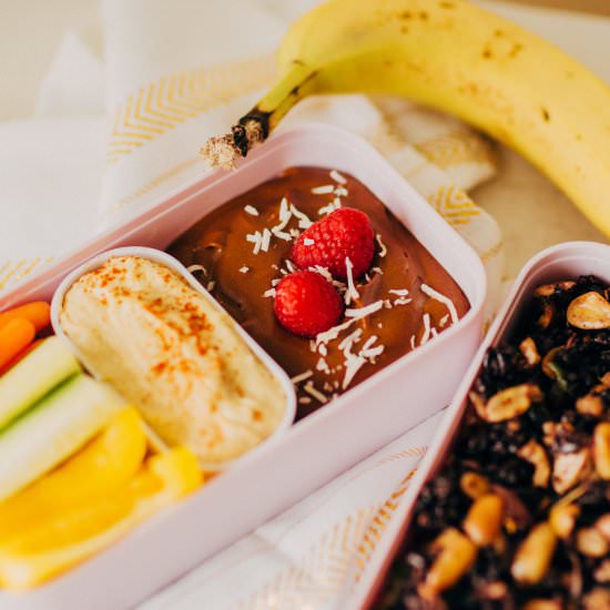 Airplane Friendly Vegan Bento Box - Recipe photo by getkamfortable