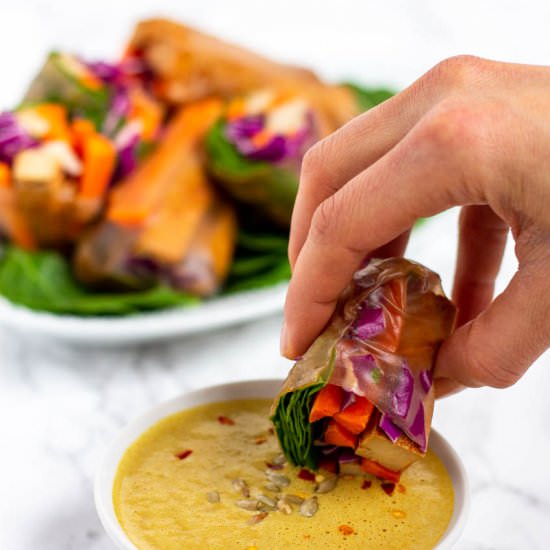 Tofu Spring Rolls with Sauce - Recipe photo by wholly-plants
