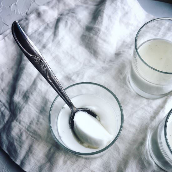 Coconut Panna Cotta - Recipe photo by thesubversivetable