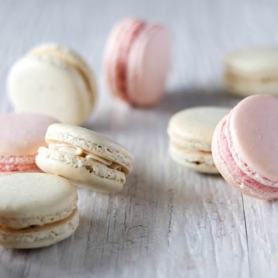 French Macarons - Recipe photo by whippeditup