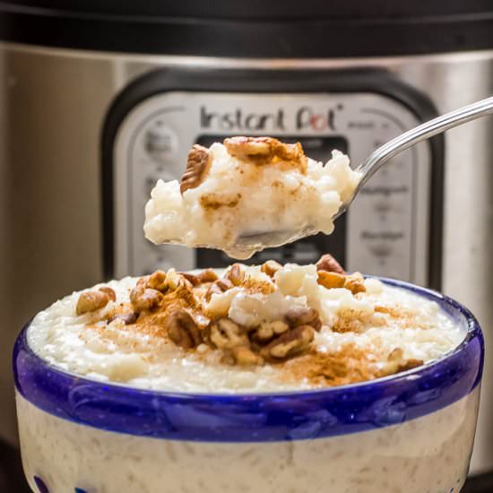 Instant Pot Mexican Rice Pudding - Recipe photo by Flavor Mosaic