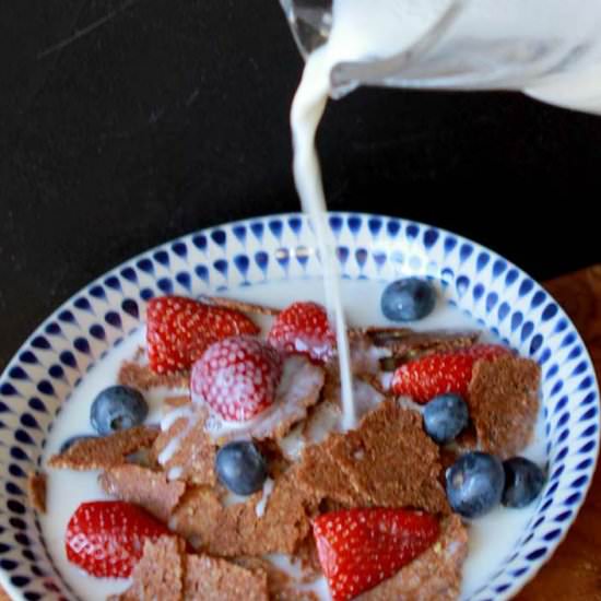 Low Carb Bran Flakes Cereal - Recipe photo by Resolution Eats