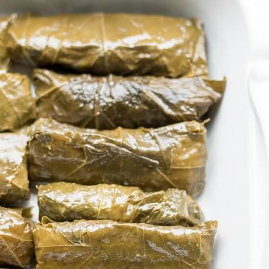 Stuffed Grape Leaves - Recipe photo by LifesLittleSweets