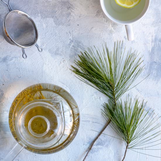 Pine Needle Tea - Recipe photo by champagne-tastes