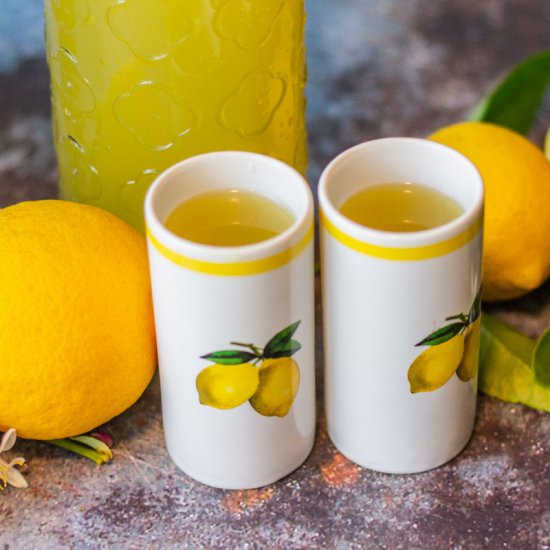 Italian Limoncello Recipe - Recipe photo by HIldaskitchenblog