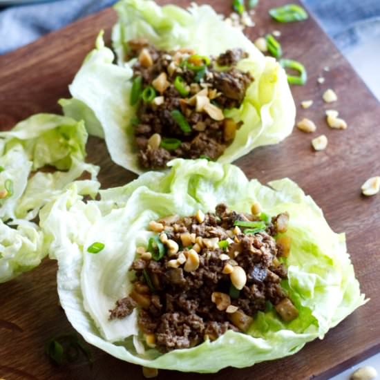 Ground Venison Lettuce Wraps - Recipe photo by texasgranolagirl