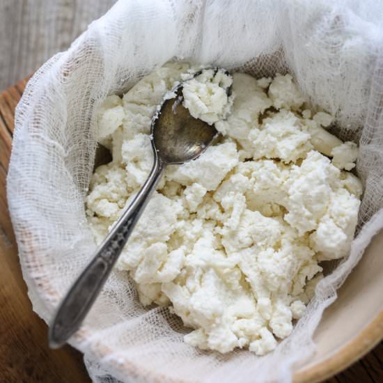 Homemade Ricotta Cheese Recipe - Recipe photo by theprairiehomestead