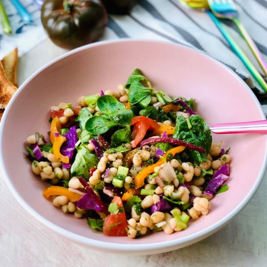 Haricot beans salad with yacon - Recipe photo by ramonascuisine