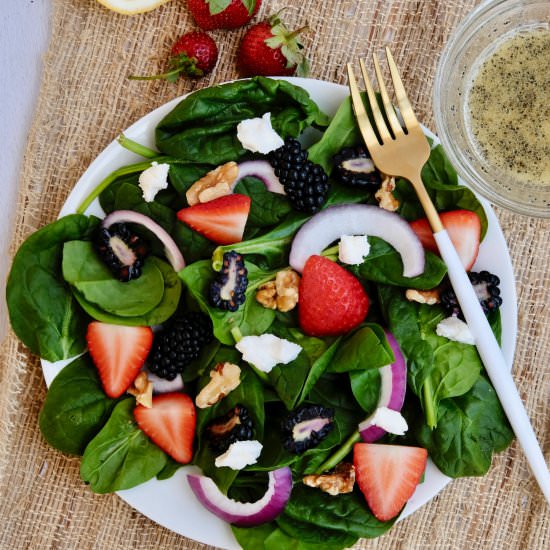 Mixed Berry Salad - Recipe photo by Everyday Gourmet with Blakely