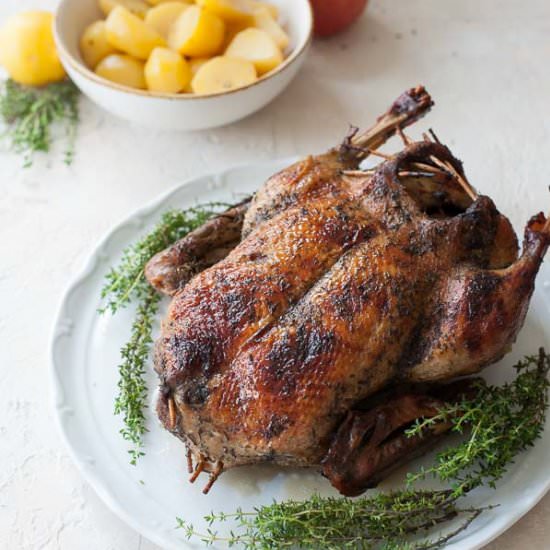 Roasted duck with apples - Recipe photo by everyday-delicious.com