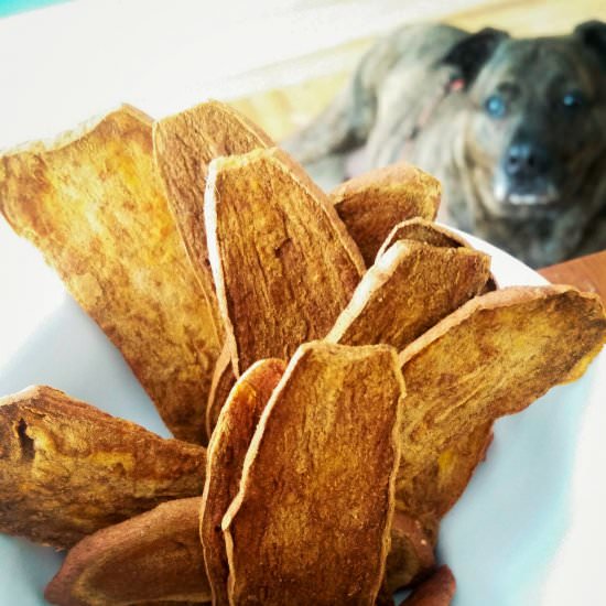 Healthy Sweet Potato Dog Treats - Recipe photo by The Cosmic Cookie Jar