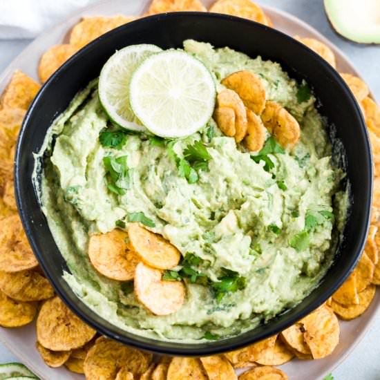 Creamy avocado dip - Recipe photo by WhatMollyMade