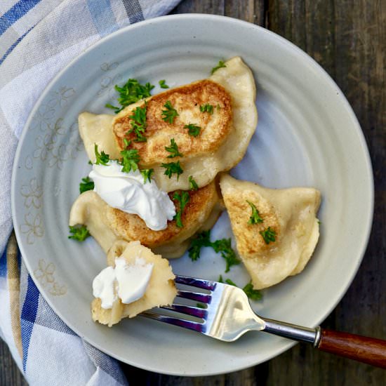 Potato And Cheddar Perogies - Recipe photo by simmerandsauce