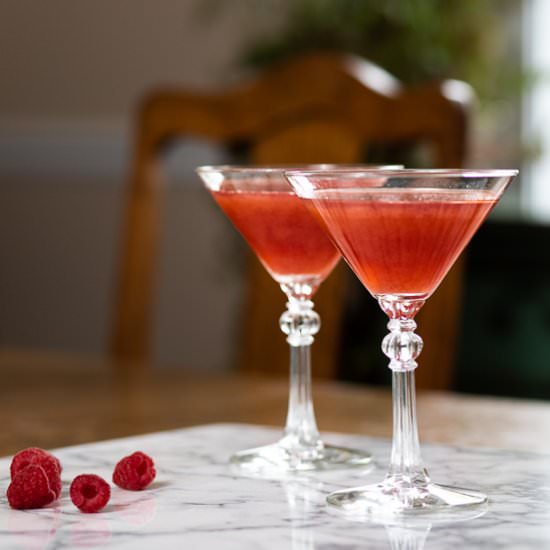Vanilla Raspberry Martini - Recipe photo by sidewalkshoes