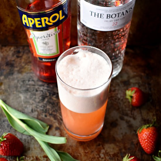 Strawberry Aperol Gin Fizz - Recipe photo by The Boozy Oyster