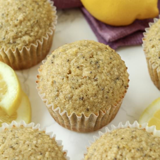 Lemon Chia Oat Muffins (GF, DF) - Recipe photo by milehighmitts