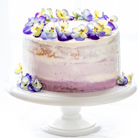 Lemon-Blueberry Cake - Recipe photo by Savingroomfordessert
