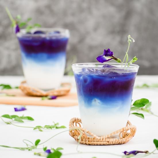 Butterfly Pea Milk - Recipe photo by cookingwithnart