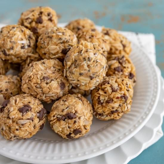 Extra Protein Oatmeal Bites - Recipe photo by Blessthismess