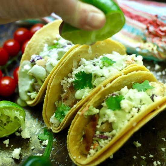 Grilled Fish Tacos with Spicy Slaw - Recipe photo by Grits and Pinecones