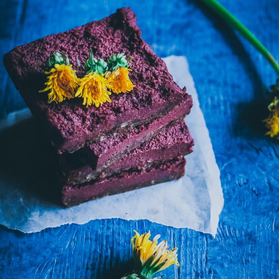 No Bake Dandelion Beet Bars - Recipe photo by moon and spoon and yum.