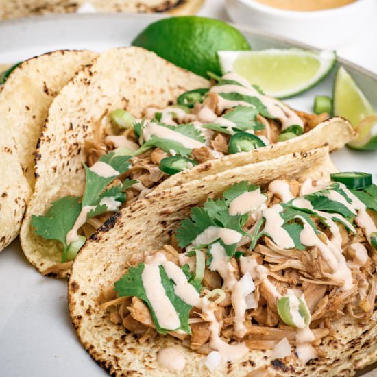Vegan Jackfruit Tacos - Recipe photo by girlmeetsradish