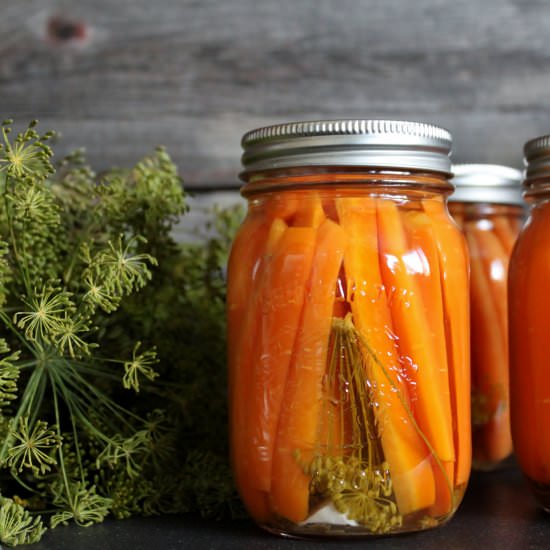 Dill and Garlic Pickled Carrots - Recipe photo by dishnthekitchen