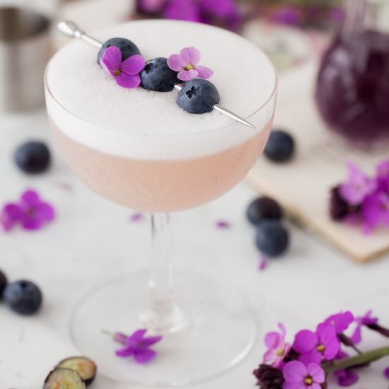 Violet Blueberry Gin Sour - Recipe photo by littlesugarsnaps