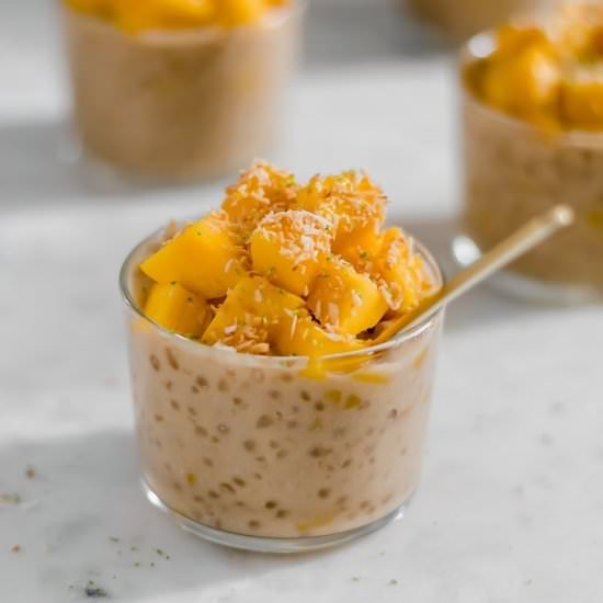 Coconut Mango Tapioca Pudding - Recipe photo by paleoinpdx