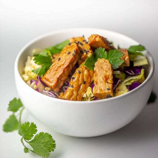 Sesame Tempeh and Cabbage Salad - Recipe photo by HomeSweetJones