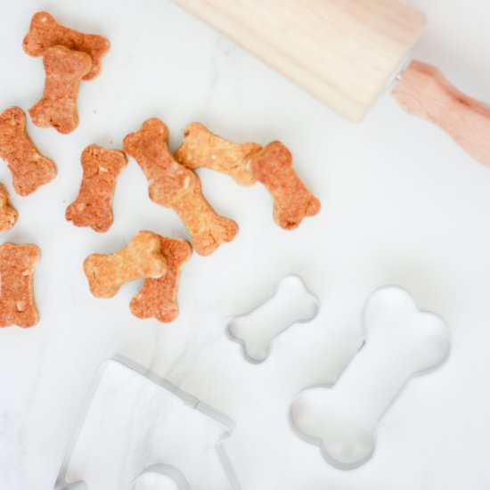 Pumpkin Peanut Butter Dog Treats - Recipe photo by amber-oliver