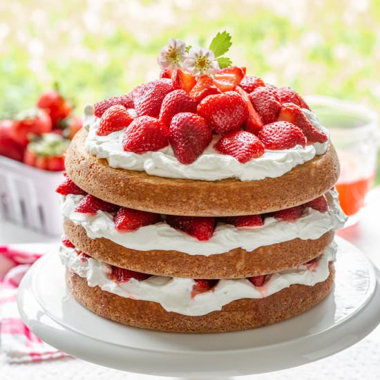 Strawberry Shortcake Cake - Recipe photo by Savingroomfordessert