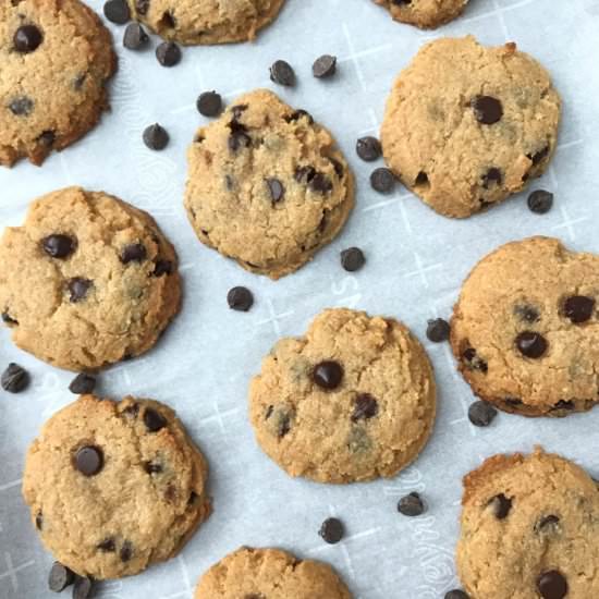 Sugar Free Chocolate Chip Cookies - Recipe photo by rsanders80