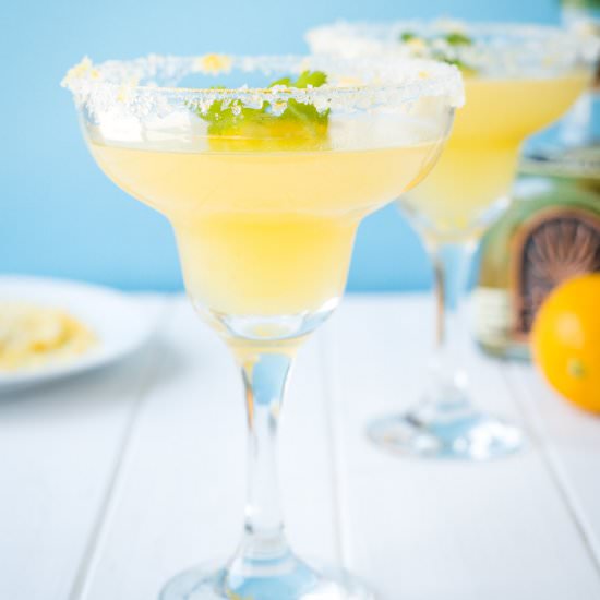 Meyer Lemon Margaritas - Recipe photo by TheDeliciousSpoon