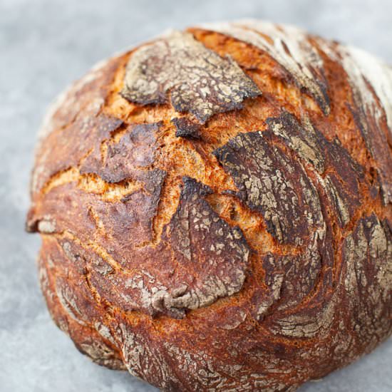 Instant Pot Whole Wheat Bread - Recipe photo by karalydonRD