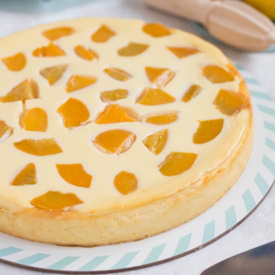 Crustless ricotta cheesecake - Recipe photo by electricbluefood